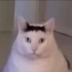 Monka Fn