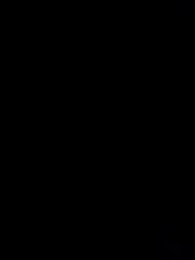 Sawan S.