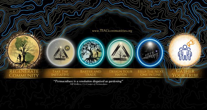 The Haven Initiative (TIAG)