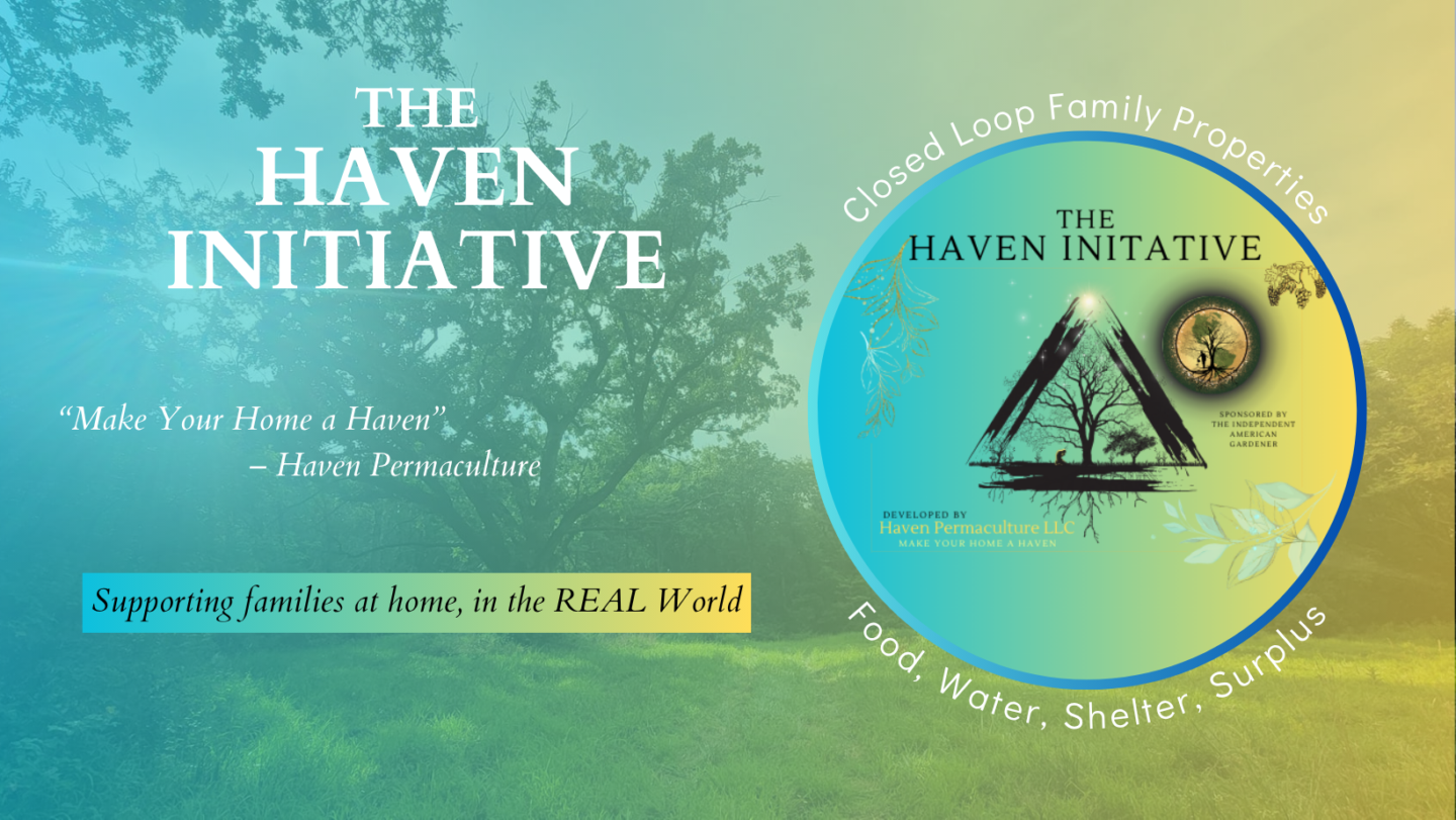 The Haven Initiative (TIAG)