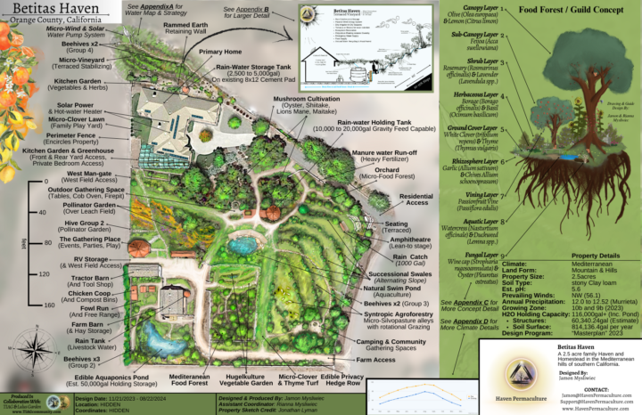Feature of the Week! - Permaculture Design: Betitas Haven