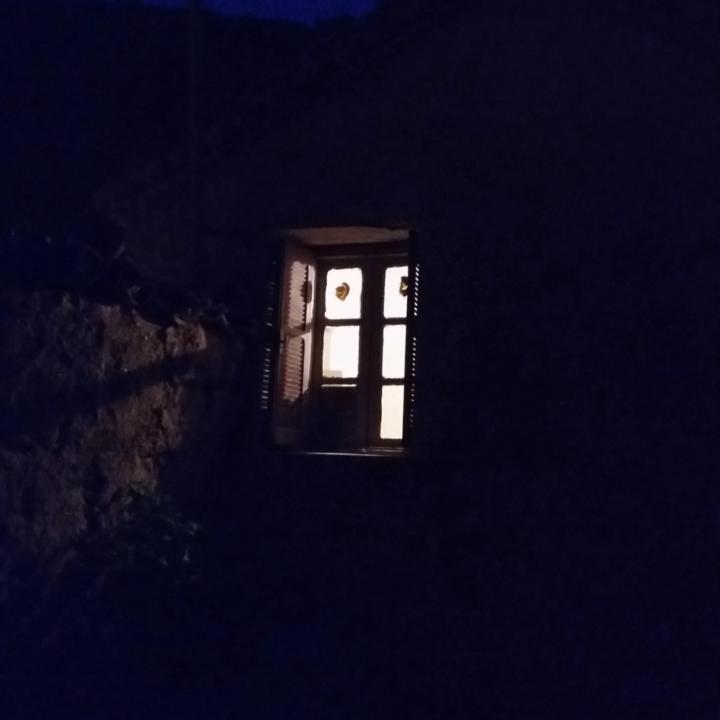 Petit Camarade