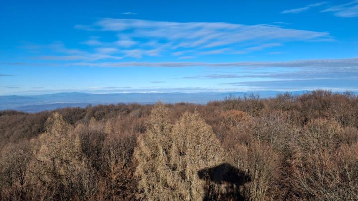 Bábelné Mezővári Szilvia