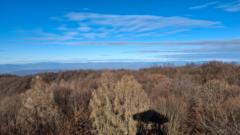 Bábelné Mezővári Szilvia