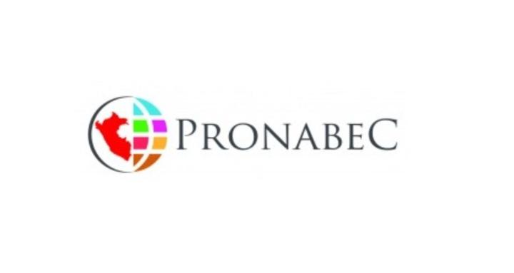 Aprende Mas + PRONABEC