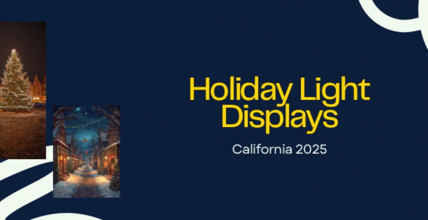 Holiday Lights 2025
