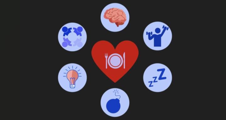 Optimal Health Program 2026