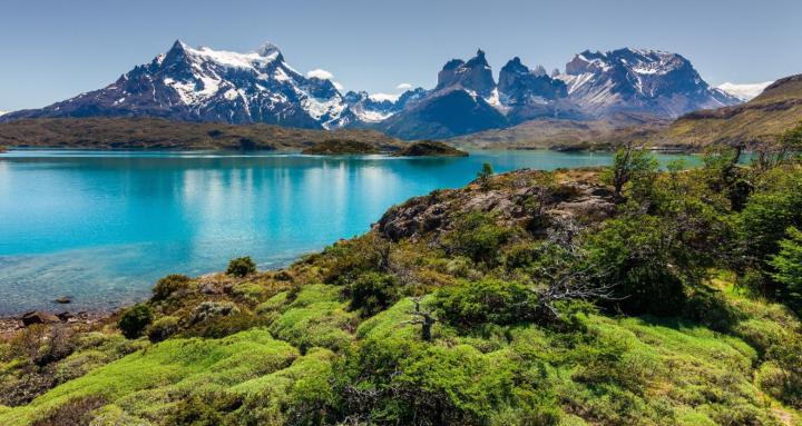 Counselling Services