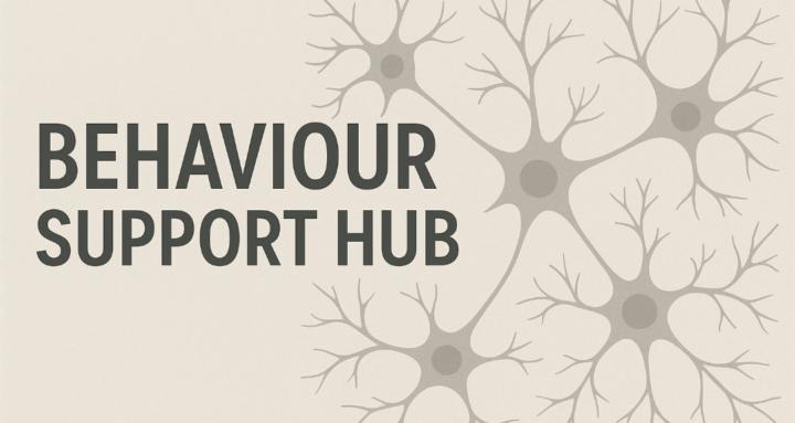 The Behaviour Support Hub