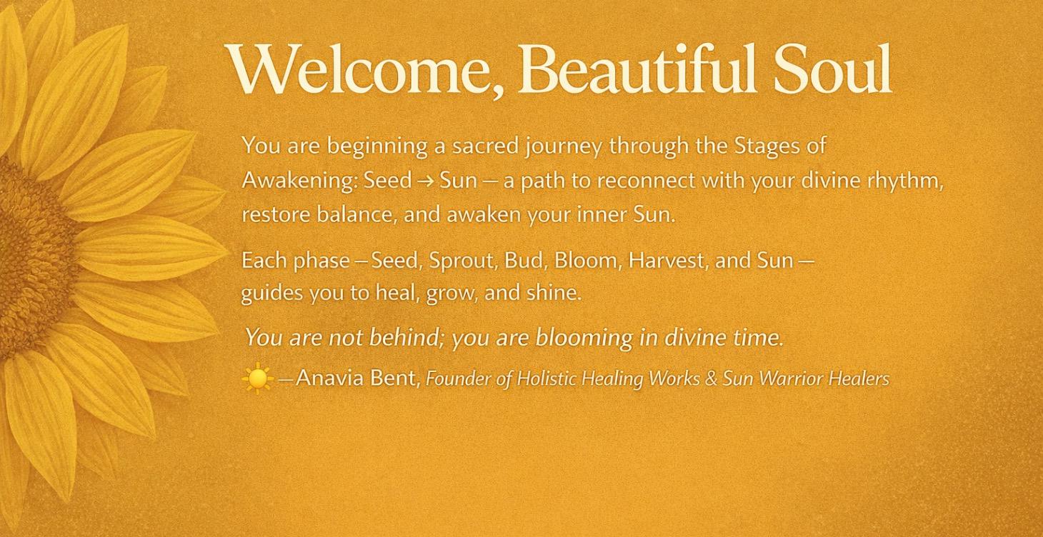 Stages of Awakening: Seed → Sun 🌞