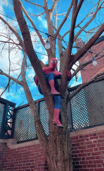 Spider-Man Skywalker