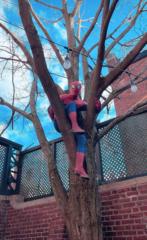 Spider-Man Skywalker