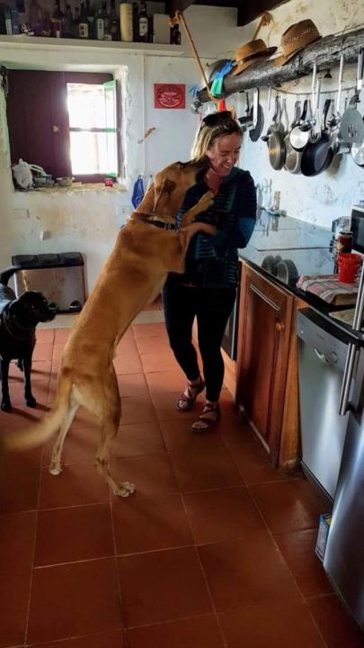 Mary teresa O'Sullivan