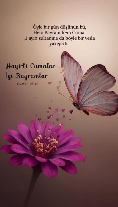 Ceylin K.
