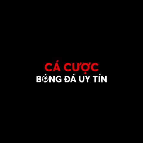 Cá Cược Bóng Đá Nhà cái