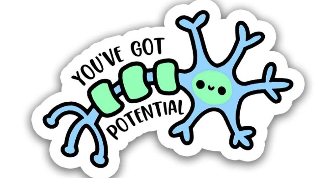 The neurocurious generation