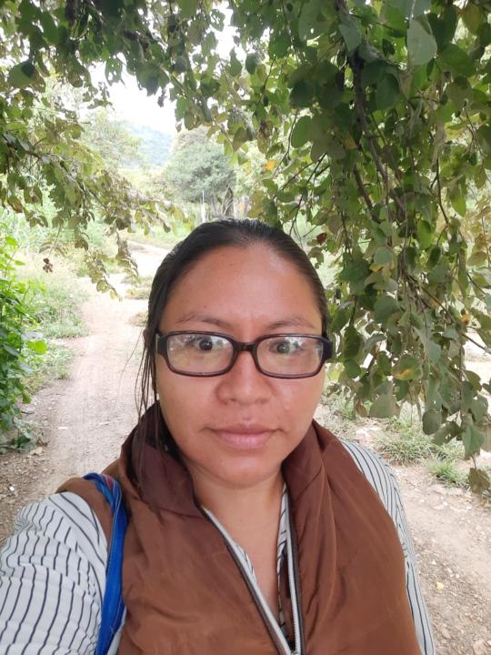 Celiflora Cantu