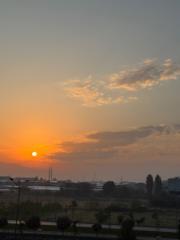 Seham Alshammari