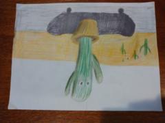 Obed Otto