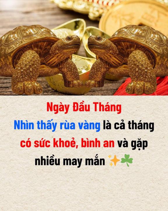 Đầu tháng may mắn đến với tất cả mọi người 