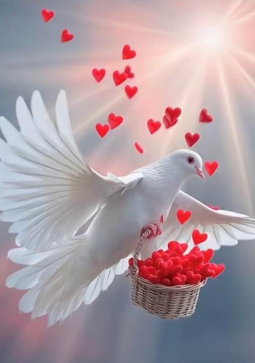 Yêu mình yêu đời