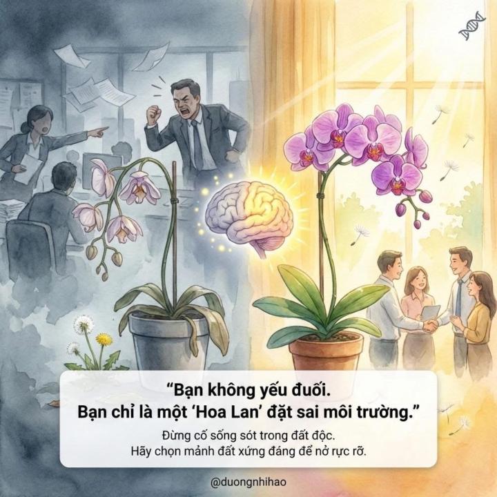 VÌ SAO NGƯỜI KHÁC CHỊU ĐƯỢC MÔI TRƯỜNG TOXIC, CÒN BẠN THÌ HÉO MÒN?