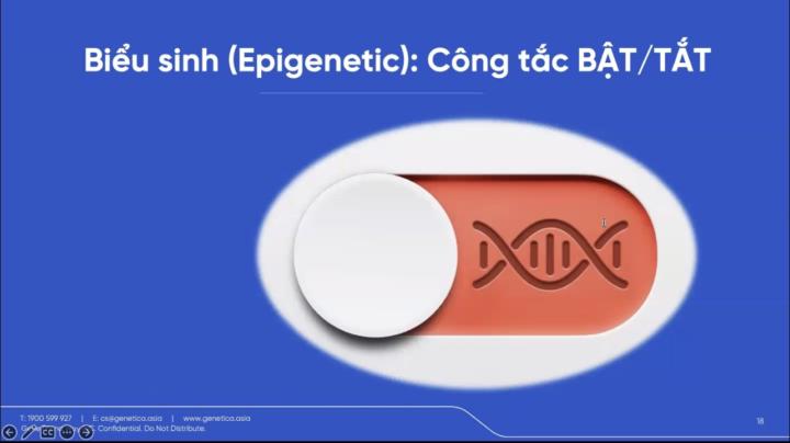 ÁP LỰC TỪ BÊN NGOÀI … ẢNH HƯỞNG BÊN TRONG