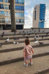 איבטה טריפונוב