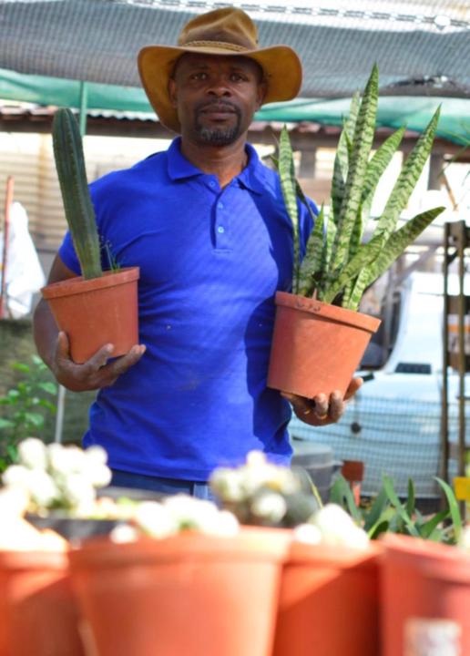 Bonani Sirgreen Organics