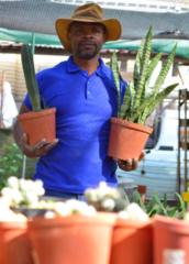 Bonani Sirgreen Organics