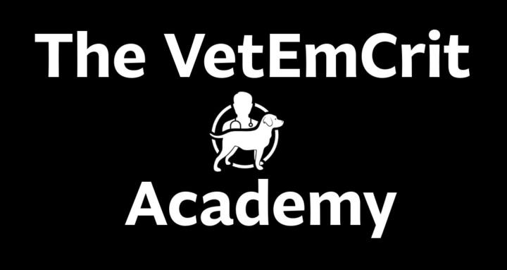 The VetEmCrit Academy