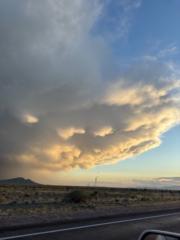 Lorenzo Alvarez-Beltran