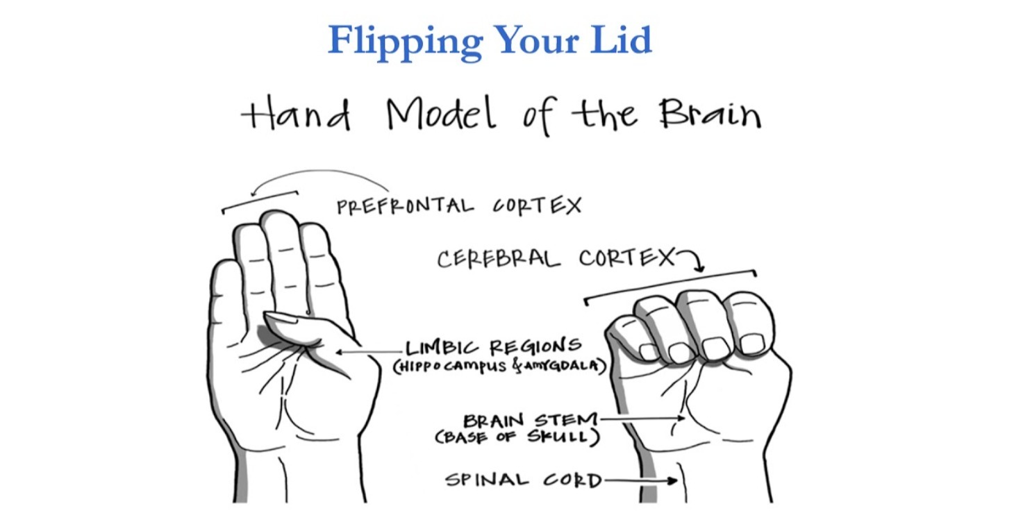 Nervous System Exercise Cheat Sheet