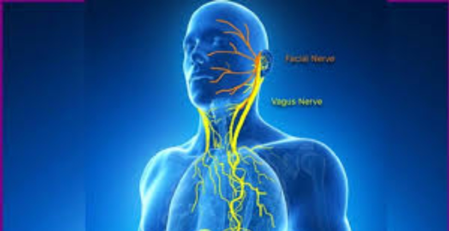 Vagus Nerve Resourcing Exercises