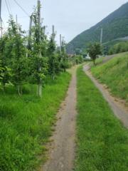 Maximilian Breitling