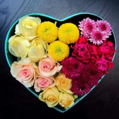 صبا أبو خير