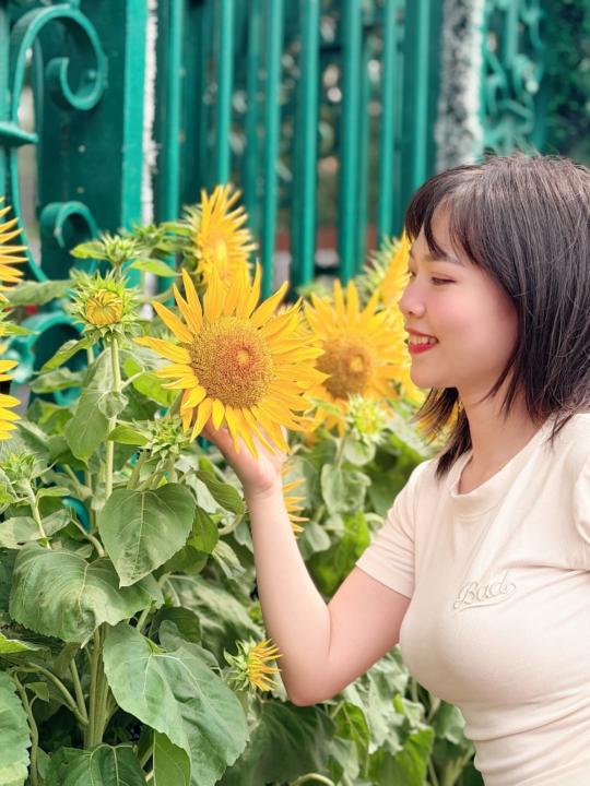 Nguyễn Thị bích ngọc