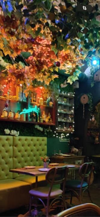 Montse Pacheco prieto