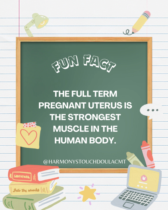 Did you know this...?!?!