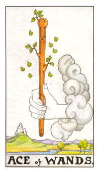 Have you been curious when I write about Tarot Master?