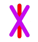 About a bind rune