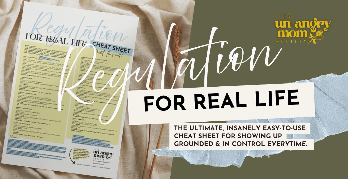 Regulation For Real Life Cheat Sheet 🧠⚡️💪