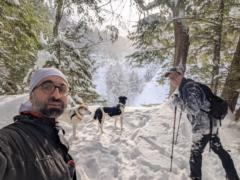 Stephen JohnsonGrove