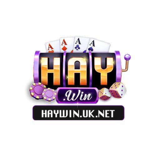 Haywin Net