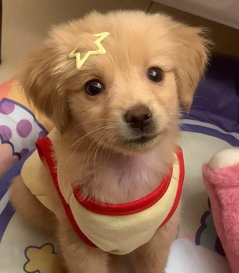 Ann-Kathrin Beyersdorff