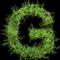 Grounded Permaculture