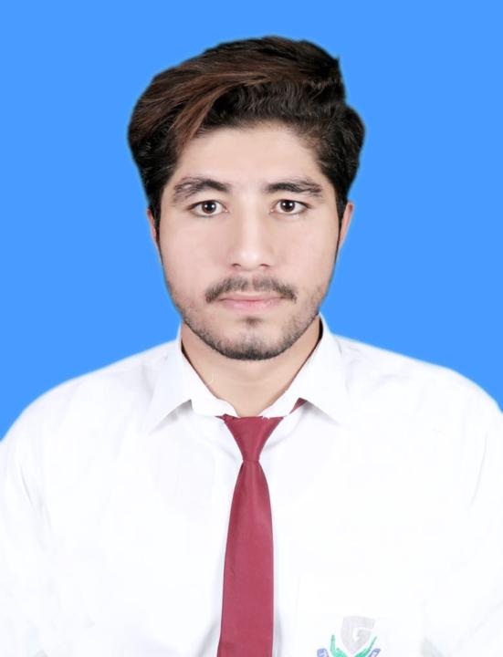 Bilal Hussain