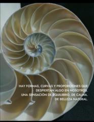 María Fernández