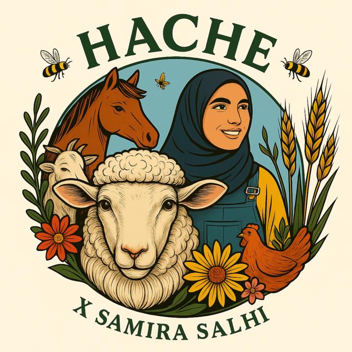 Samira Essalhi