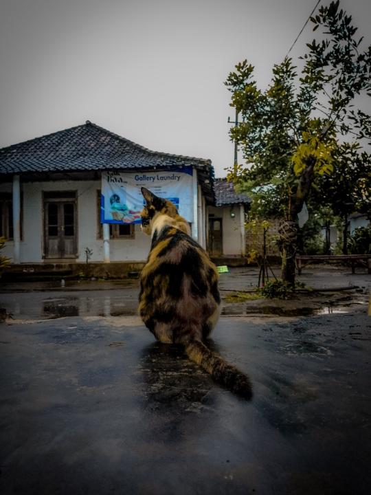 Haylil Mubarok
